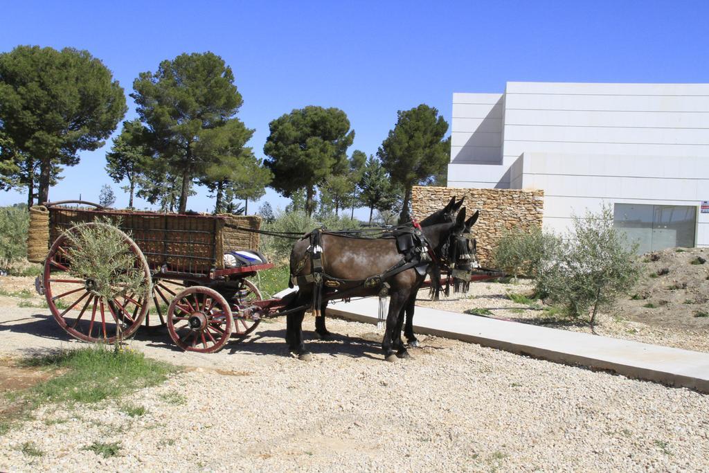 Luz de Alba Villa Argamasilla de Alba Dış mekan fotoğraf